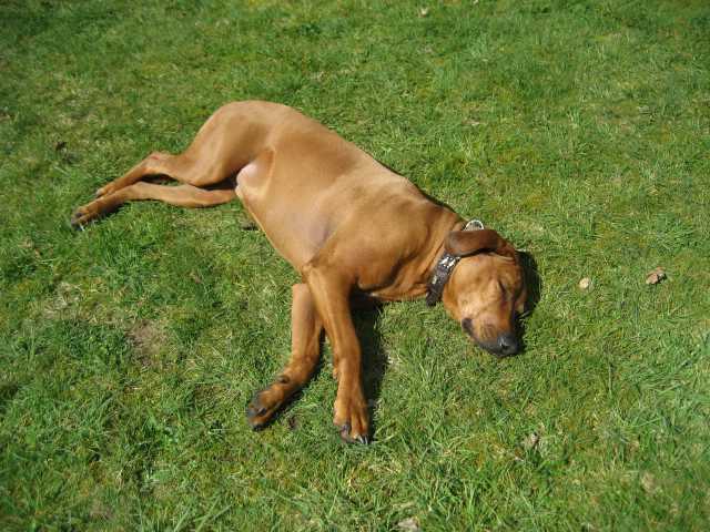 Pasen Vierhouten 2006